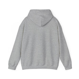 Cozy Hooded Sweatshirt Gray or White D.U.C. Logo